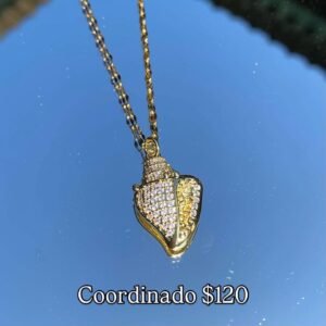 Coordinado Coraza