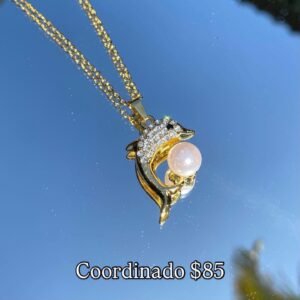 Coordinado Delfín